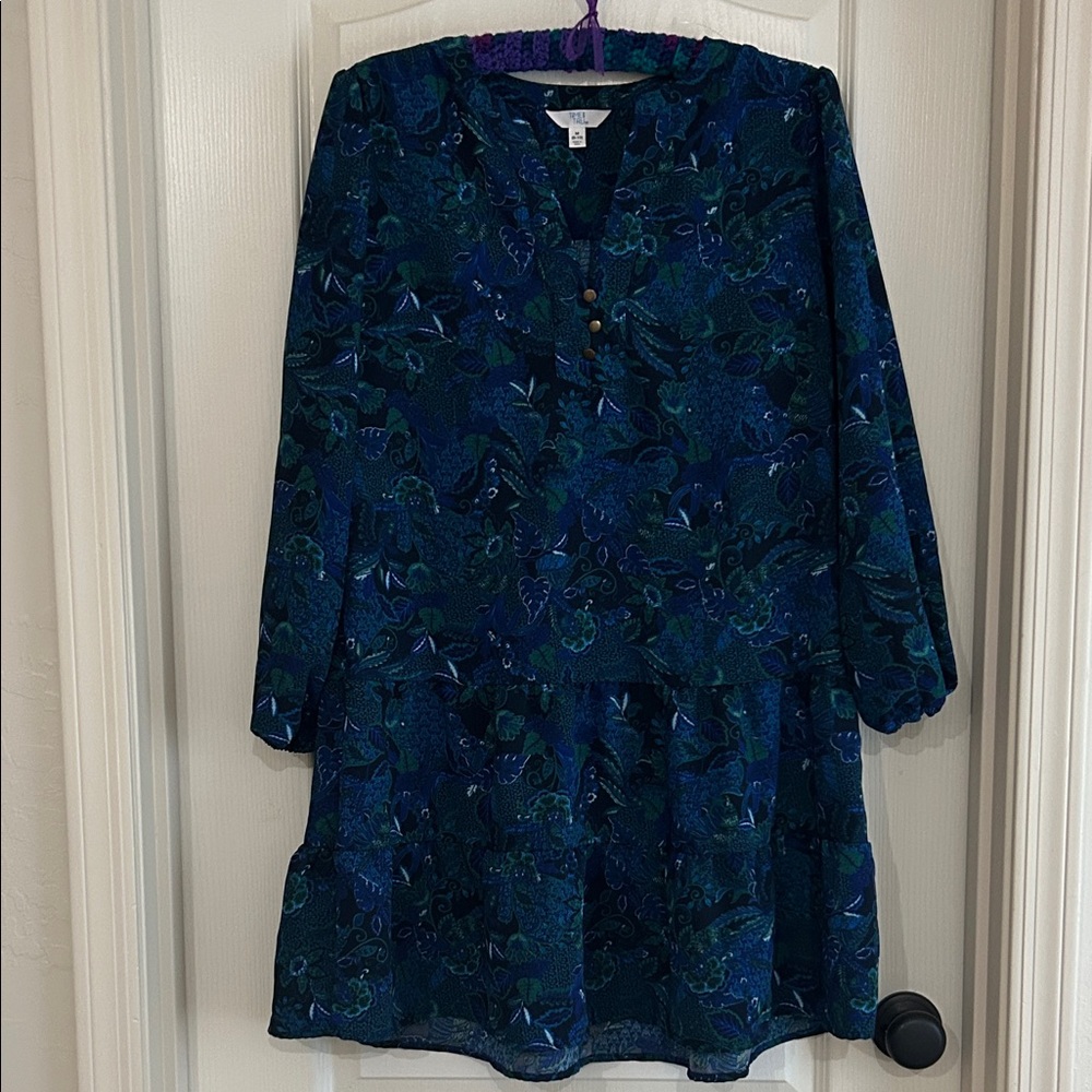 Time and Tru Navy Floral Long Sleeve Dress